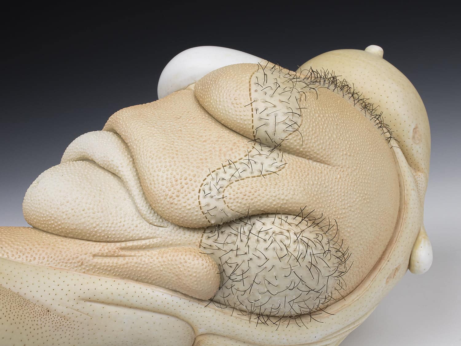 Jason Briggs "Master" (detail 1). porcelain, hair, and mixed media sculpture ceramics.